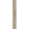 Vinylová podlaha lepená Blackjack Oak 22246